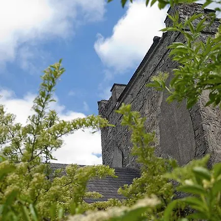 מלון Finnstown Castle לוקאן
