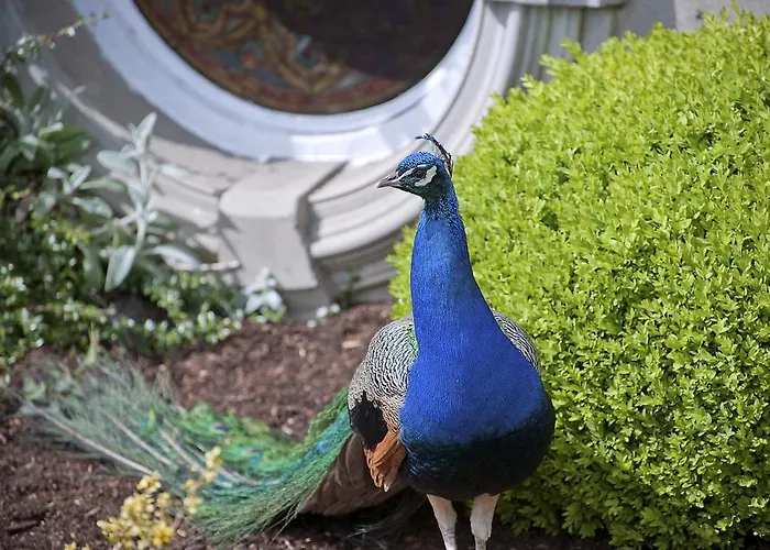 Отель Finnstown Castle